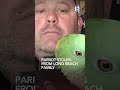 Parrot stolen from Long Beach family