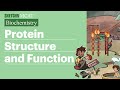 Protein Structure and Function Quiz