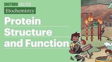Protein Structure and Function (Biochemistry)