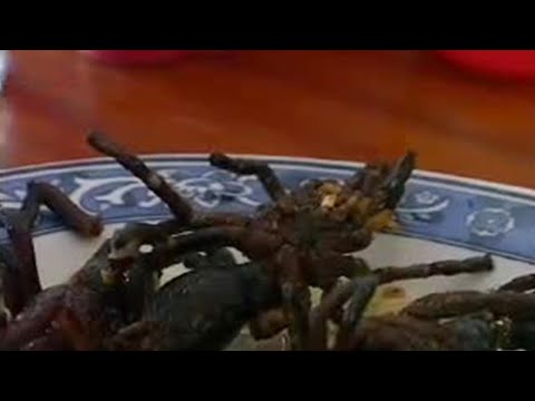 Weird food! Eating spiders in Cambodia - Holidays in the Danger Zone: America Was Here - BBC travel & politics