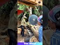 This Tree-Cutting Machine is a BEAST! 🌲⚙️ So Satisfying to Watch! #machinery #woodwork