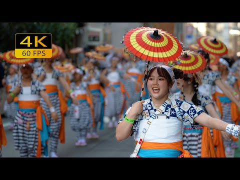 Video: Top 6 proslava i festivala u Japanu