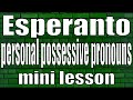 Esperanto possessive personal pronouns (mini lesson)