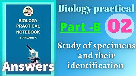 Study of specimens and their identification biology practical class 11 experiment 2 part b answers