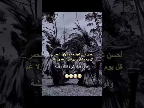 هو هو جنوني جديد بشر وكاتالوس اغاني موسيقى ترند أغاني 2025 اكسبلور 