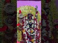 Joy maa kali joy boro maa#enjoywithshivani #kandi kalibadi kalimaa#treadingshorts #ytshort#virlshort