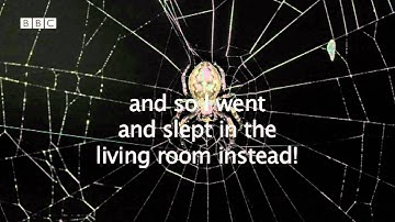 Express English: Fear