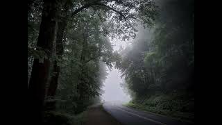 Fermata In Disturbed Air - A Silent Hill/Whispering Hills Tribute Album