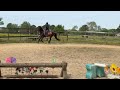 Online horse show #2 class #24 Adult Ranch Nicole Batchen and Heir to the Throne