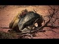 Dinosaur Revolution (WWD Resound) - Allosaurus VS Dinheirosaurus