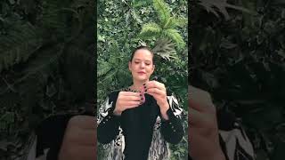 Touca TNT sanfonada Rosa - SOS BELEZA BRASILEIRA #shorts Touca TNT sanfonada Rosa - SOS BELEZA BRASILEIRA #shorts