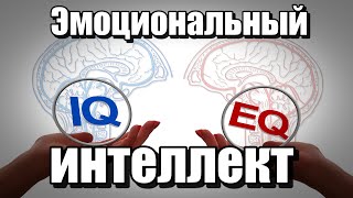видео: 😉👌🔥Эмоциональный интеллект. В работе, бизнесе и повседневной жизни😉👌🔥 картинка: 😉👌🔥Эмоциональный интеллект. В работе, бизнесе и повседневной жизни😉👌🔥