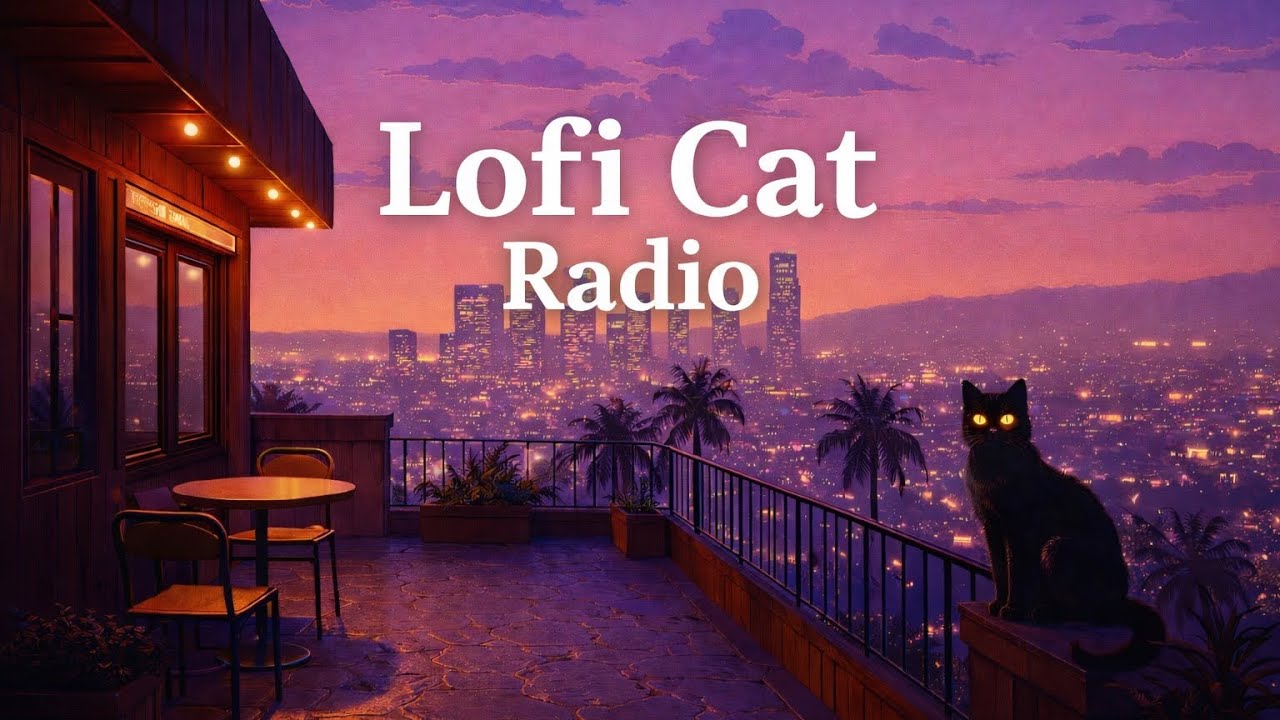 Lofi Cat Radio 【Smooth Jazz 🌆1Hour Study / Relax /Sleep】
