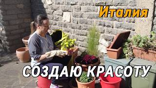  Choosing Flowers  First Plantings