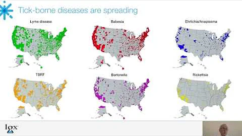 Overview of Tick-Borne Diseases and Diagnostic Tests Available