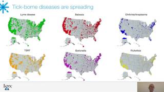 Overview of Tick-Borne Diseases and Diagnostic Tests Available