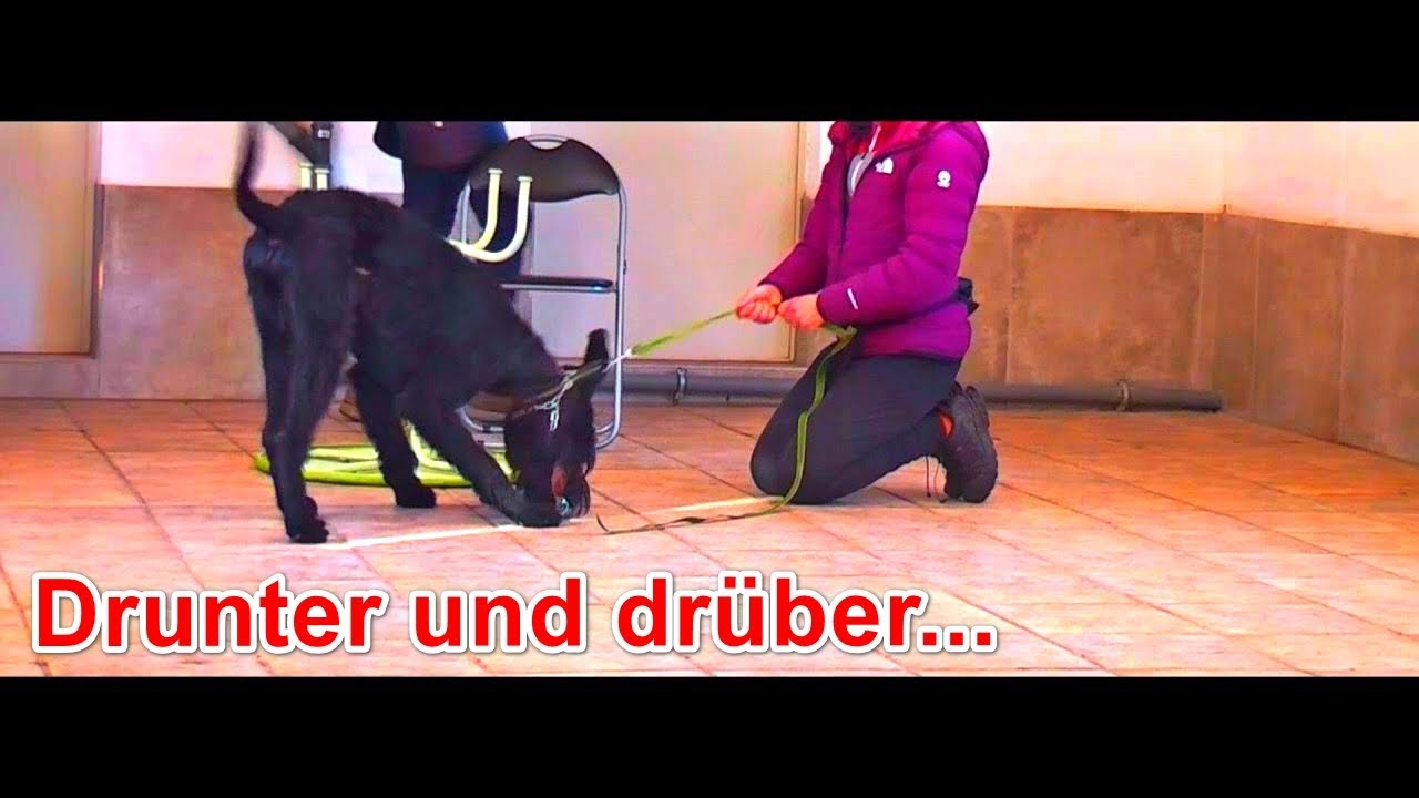 Unter- oder Überforderung ist kein ADHS! – Erklär-Video
