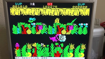 ZEsarUX emulator - Raspberry PI GPIO Speaker