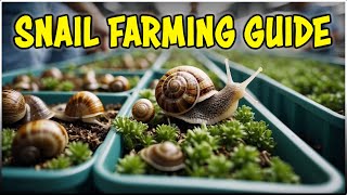 Snail Farming for Beginners: A Comprehensive Guide by Discover Agriculture 1,579 views 3 weeks ago 4 minutes, 18 seconds