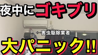 【夜中に】 アメトーーク!見てたらゴキブリ出てきて大パニック!! 業者にお願いしたらいくら？役に立つゴキブリ対策