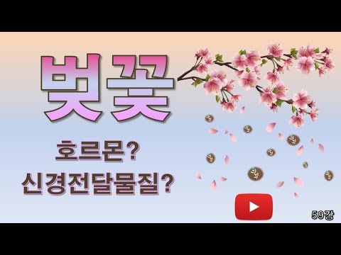 [오이 과학] 59강 벚꽃은 봄이다 ㅣ 호르몬과 신경전달물질의 차이 ㅣ Hormone and neurotransmitter