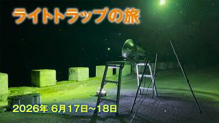 2026年6月17日と18日の採集 ライトトラップの旅 - YouTube