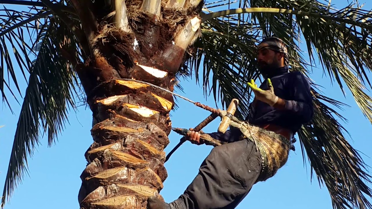 #أفضل واسهل الطرق للتكريب الصحيح معلومات عملية و نظرية للخبير علي حسن ياسين الحميراوي الحلقة الثانية