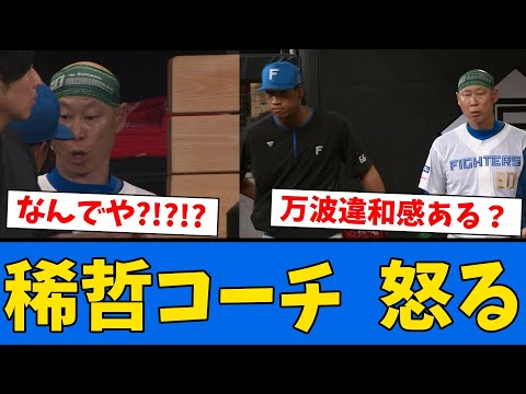 【怒る】日ハム稀哲コーチがベンチで万波に説教をする【プロ野球反応集】