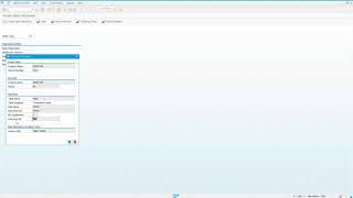 SAP User Basics: How to Set Default Values for Fields - Video 4