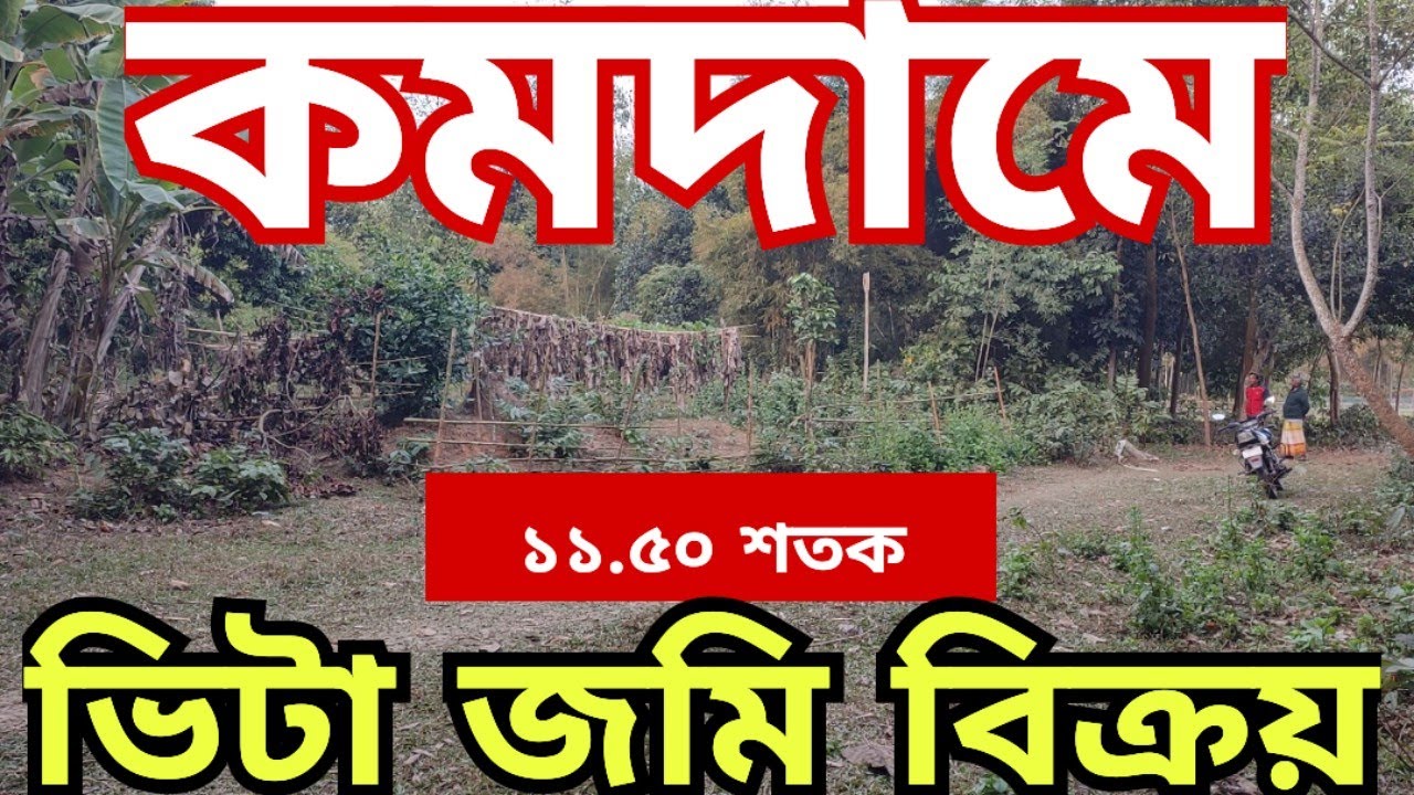 জরুরী টাকার প্রয়োজনে ১১.৫০ শতাংশ জমি বিক্রয় | jomi bikroy | জমি | jomi bikri | land sale | bproperty