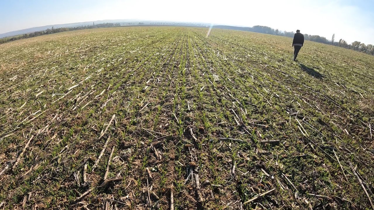 Szakmázzunk  beszéljük ki.