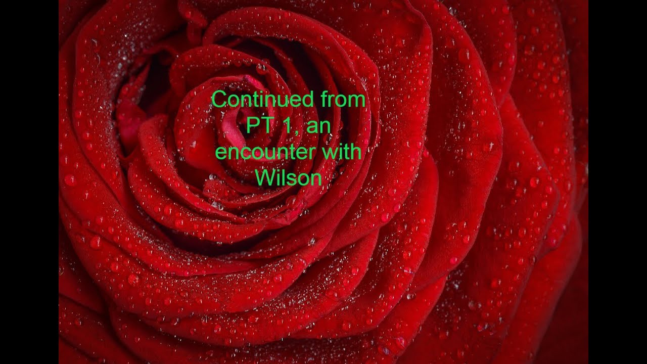 Continuation of Wilson (PT 2) - YouTube