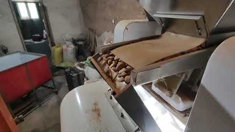 Multi Functional Color Sorter Machine Mini Almond Color Sorting