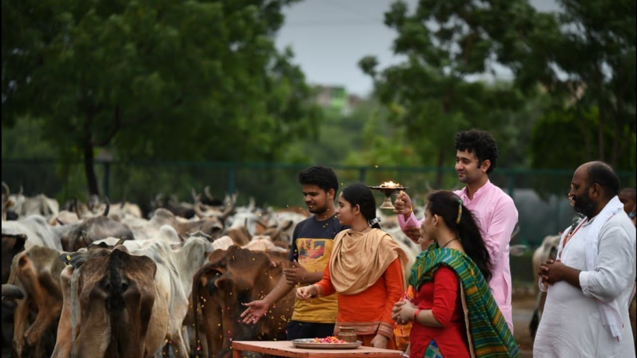 Daily Gau Aarti at Shri Mataji Gaushala, Barsana। अद्भुत गो आरती के दर्शन, श्रीमाताजी गोशाला, बरसाना