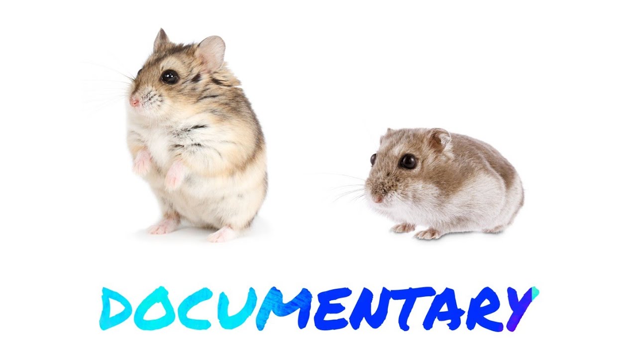 camera iphone 8 plus apk hamsters/ documentary