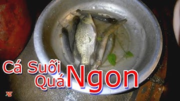 Câu cá ban đêm có sợ ma không