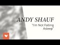 Andy Shauf - I'm Not Falling Asleep