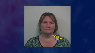 Alpena woman arraigned for stealing from thrift store
