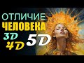 3D, 4D и 5D сознание человека, в чём отличие?