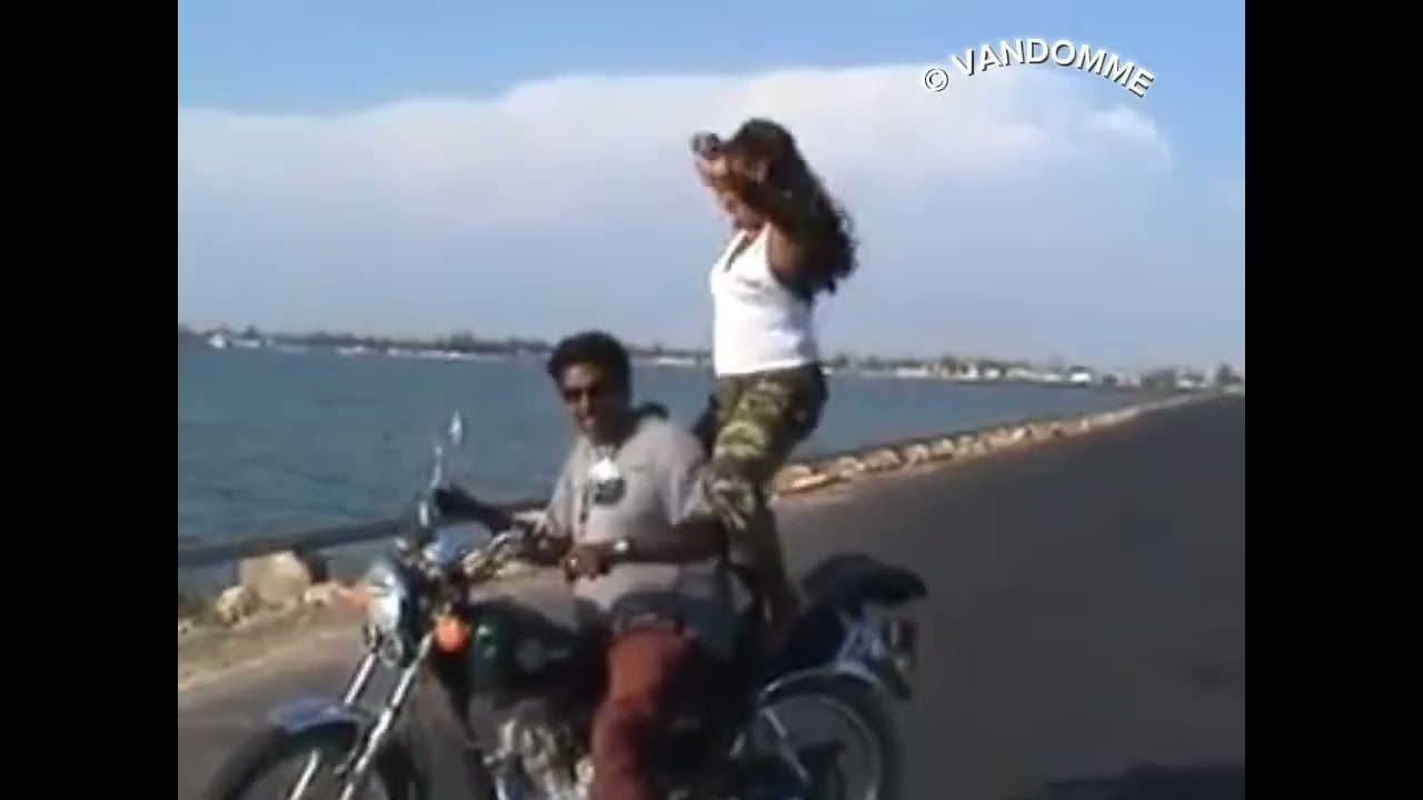 Rasoa kininike tsy anjara