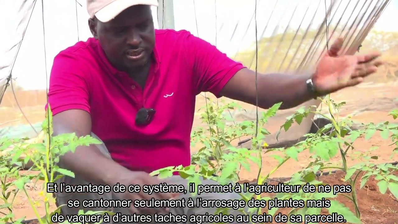 Paillage pour la Rétention d’Eau