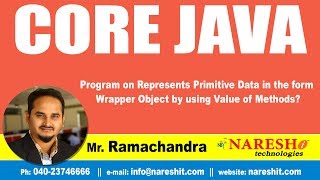 Program on Represents Primitive Data in the form Wrapper Object by using Value of Methods?