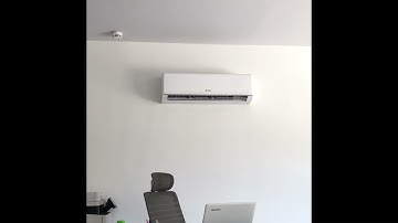 (Lifesmart) the brand new spot mini