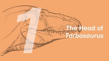 Chuanzi the Tarbosaurus 1: The Head | Learn to Draw Dinosaurs with ZHAO Chuang