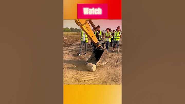 Pro vs Beginner Excavator Challenge  #shortvideo #viralvideo #shorts #short