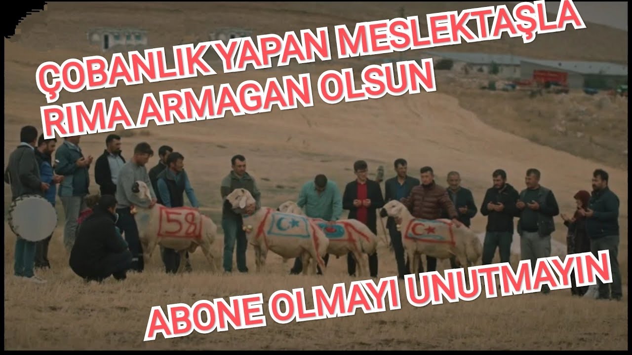 SİVAS ELLERİNİN ÇOBAN ELMASI ( Harcadı bu gurbet harcadı beni. TARIK KARA )