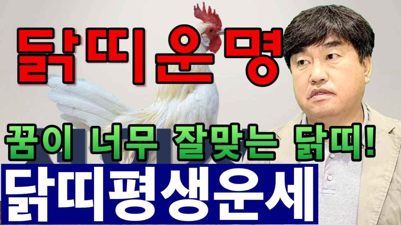 천인성. 닭띠팔자. 꿈이 잘 맞는 닭띠의 특성, 예리한 닭띠의 숨겨진 진실  닭띠사주 (ft.사주팔자 쥐띠 소띠 호랑이띠 토끼띠 용띠 뱀띠 말띠 양띠 원숭이띠 닭띠 개띠 돼지띠)
