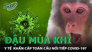 Đậu Mùa Khỉ Trở Thành Tình Trạng Y Tế Khẩn Cấp Toàn Cầu?Giải Trình Tự Gen Có Giải Mã Căn Bệnh Này?