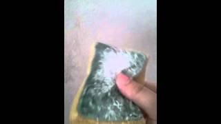 How To Remove Nail Polish From The Wall Youtube