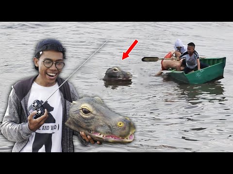 remote-controlled-alligator-prank-2019---pertama-di-indonesia---cupstuwerd